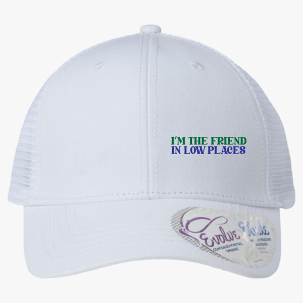 I'm the Friend in Low Places Thumbnail